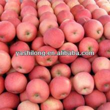  iran  fresh fruit in red color and tatests juicy and crispy in lowest price  from  Factory now