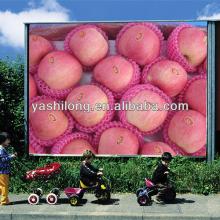 apple products product of sweet apple with delicious much in best quality