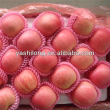 wholesale frozen fruits apple in lowest price with higher quality from shandong china