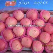 fresh fruits and vegetables prices is very competitive tastes sweet and delicious in round shape wit