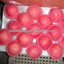 wholesale importer of chinese goods in  india  delhi
