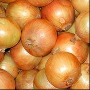 Fresh Yellow Onions