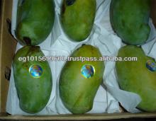 Fresh Alphonso Mangos