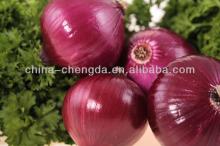  2013   fresh   red  onion 5-7cm