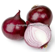 2013 Fresh red and yellow onion