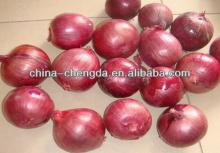  Red   onion (3-5cm,5- 7 cm, 7 - 9cm )