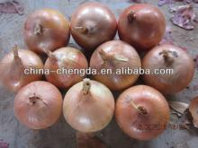 Fresh Yellow Small Onion(4-7,5-9cmCM)