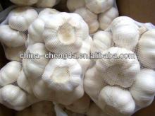  2013   new   crop   Garlic (high quality with competitive price)