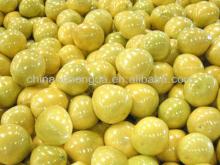 2013 New Fresh pomelo