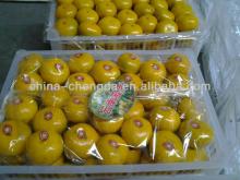 Fresh citrus fruit/nanfeng mandarin/shatang mandarin(3.5cm-6cm)