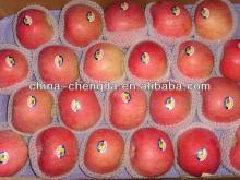2014 Fresh fuji apple price