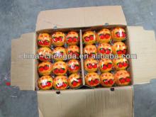 2013 Fresh baby orange,citrus fruit,9/10kg,mesh bag