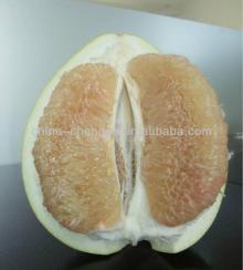 2013 Sweet Honey Pomelo(White pulp honey pomelo)