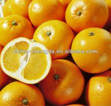 Fresh pomelo