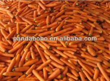 Supply Cheap Fresh Carrot