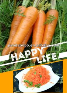 Clean Fresh Carrot