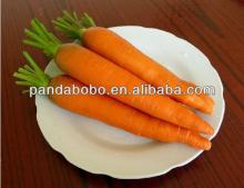 Chinese bulk fresh carrot from pandabobo