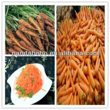 2014 High quality fresh carrots vagetable