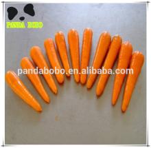 Cleaning Fresh Carrot in cheapest price in high quality