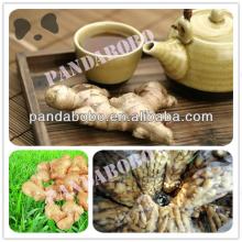 china fresh  ginger   export er