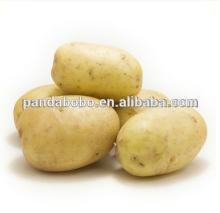 china  types  of  potatoes  for sale with low price