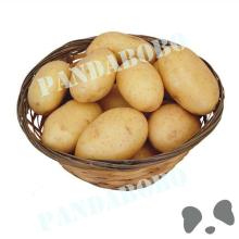 chinese bulk fresh sweet potato on hot sale with different package