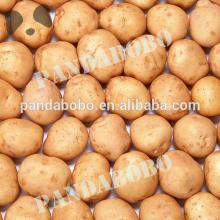 chinese fresh potato prices in bulk for sale with high quality