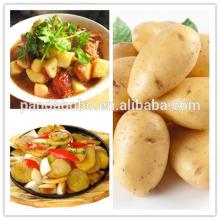2013 bags for packing potatoes with best quality and competitive price