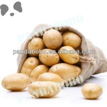 2014 fresh russet potato from China