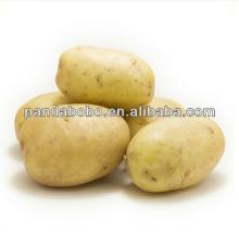  chinese   brand s potato in different package full of nurtrition on hot sale