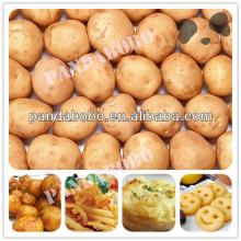 Wholesale fresh russet potatoes bulk from Shaanxi China