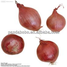 2014 new crop agriculture product red onion potato for exporting to dubai in wholesale price and as