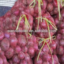 2014 new crop wholesale fresh red onion vegetable for the importers in singapore as a supplier and e
