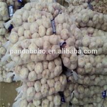 2014 new crop fresh normal /pure white garlic in low price as a wholesale supplier and exporter in c