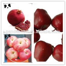 fresh red apple fruit huaniu fruit apple