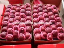 top chinese fresh huaniu apple on hot sale
