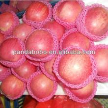 New crop fresh bulk red qinguan apple supplier of china in 2014