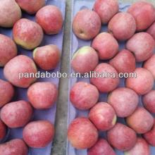 2014 natural fresh red qinguan apple fruit for sale in china