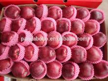 apple fruit brand fresh chinese fruit on hot sale
