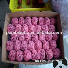 farm fresh fruit chinese apple fruit on hot sale with best quality