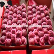 apple citrus fruit chinese fresh apple fruit on hot sale