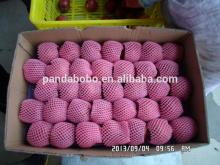 apple fruit brand chinese apple fruit on hot sale with competitive price