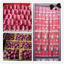 chinese fresh red delicious huaniu apple on hot sale