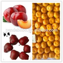 fresh chinese huaniu apple on hot sale with best price