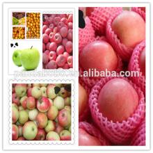 bulk fresh huaniu apple on hot sale with competitive price