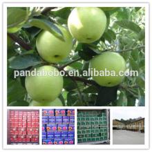 Wholesale chinese granny smith green apple gala apple in high quality as a supplier