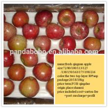 2014 wholesale bulk Cheap price fresh red qinguan apple fruit from Shaan xi