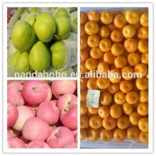 fresh  fruit   company  from china on hot sale