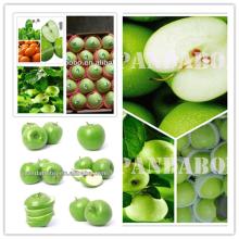 best price granny smith on hot sale