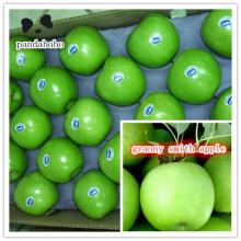 2014 chinese fresh green gala apple granny smith in wholesale price in high quality